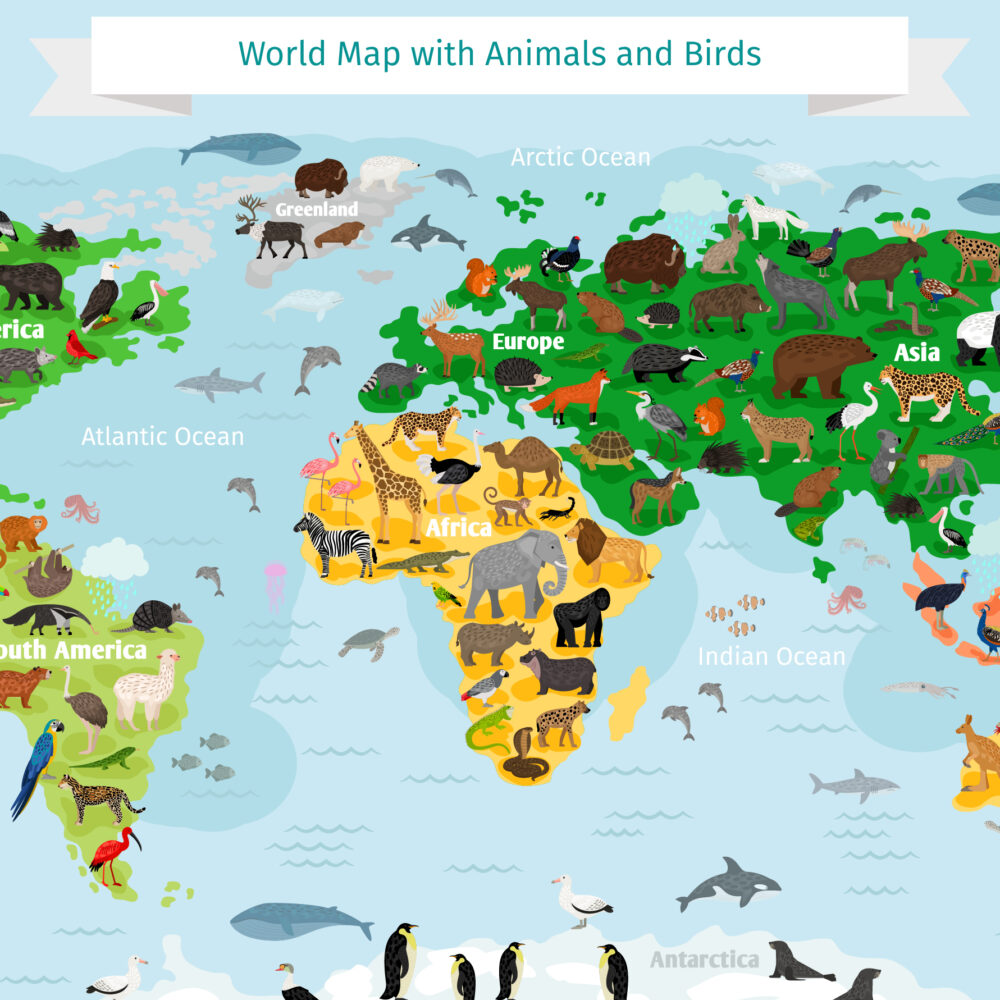 El mapa de animales tiene colores vivos