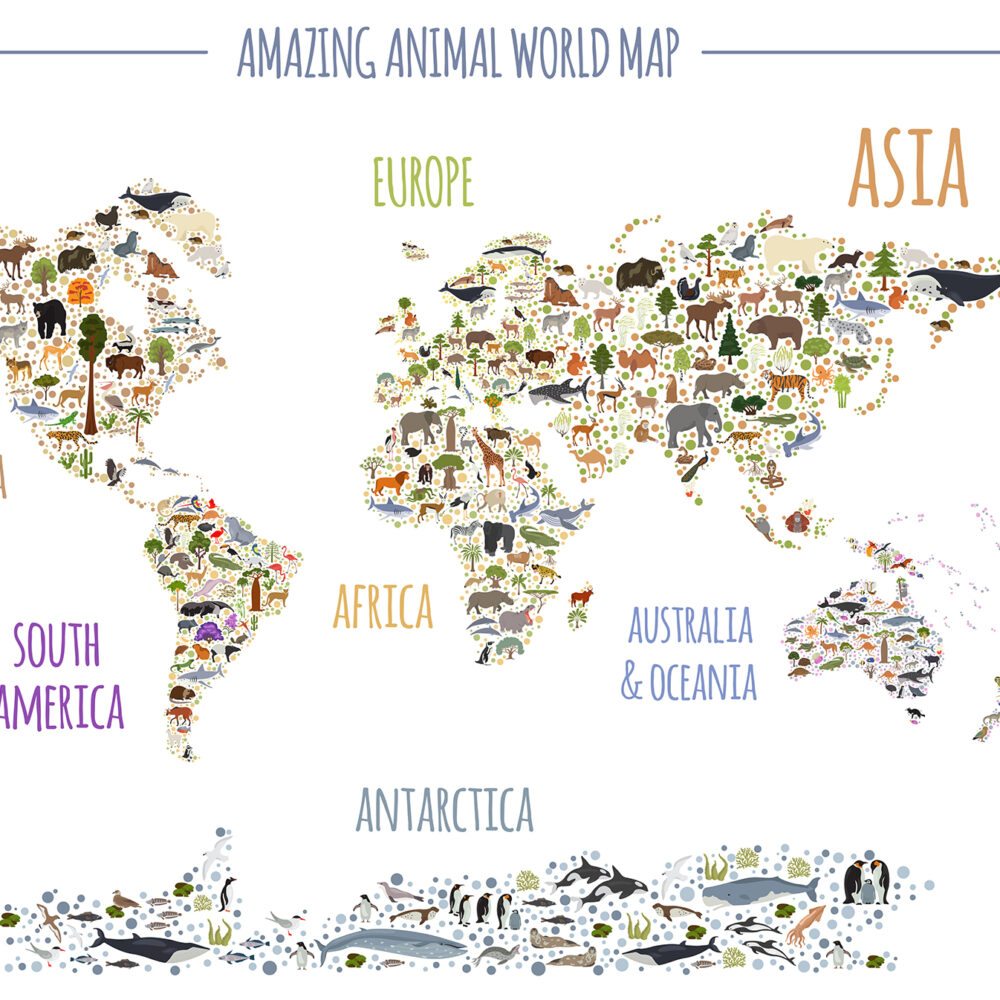 Mapa de flora y fauna