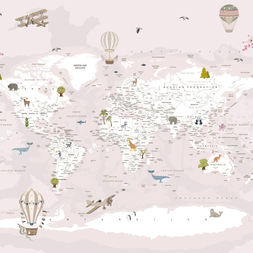 Mapa con globos y aviones en rosa