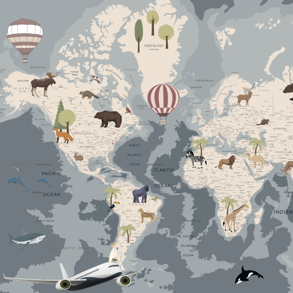 Un mapa oscuro con planos