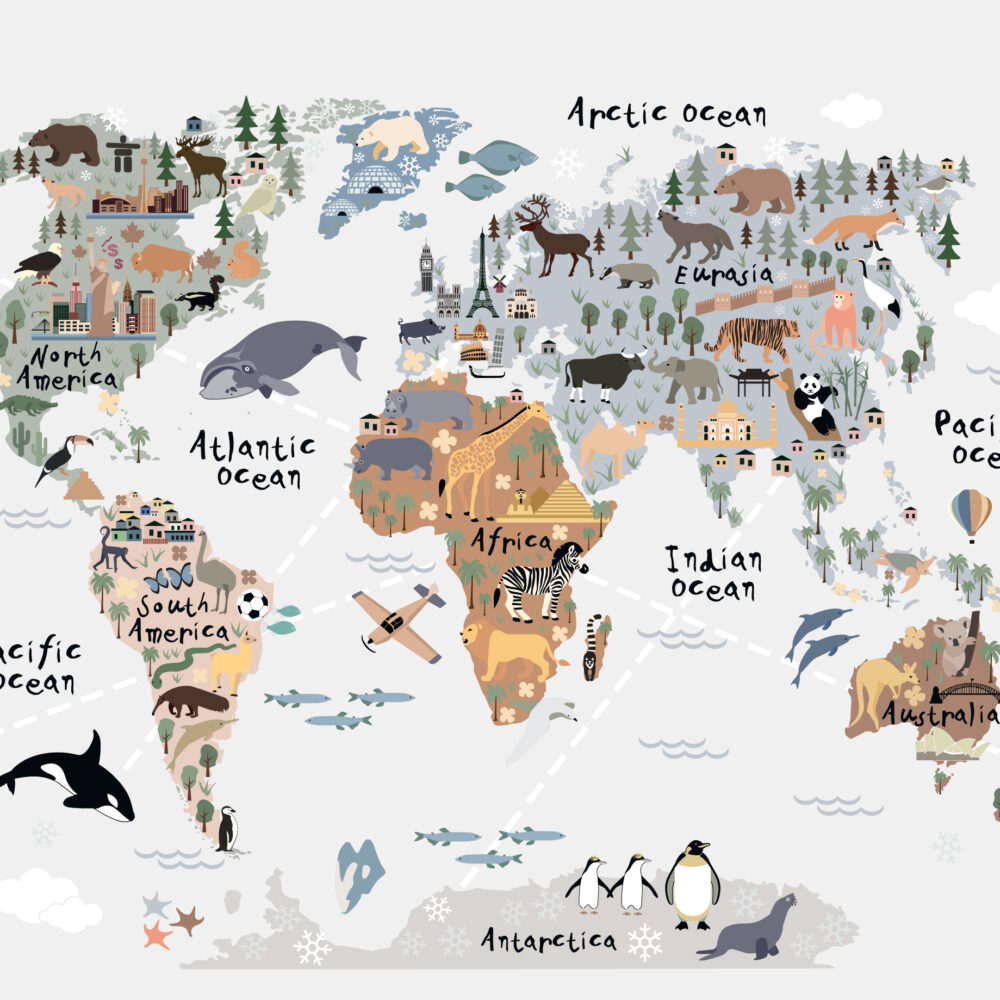 Un fascinante mapa del mundo