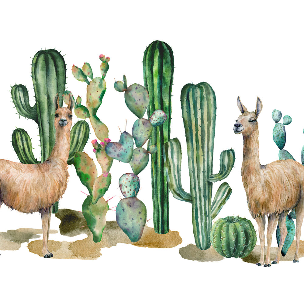 Acuarela de llama con cactus