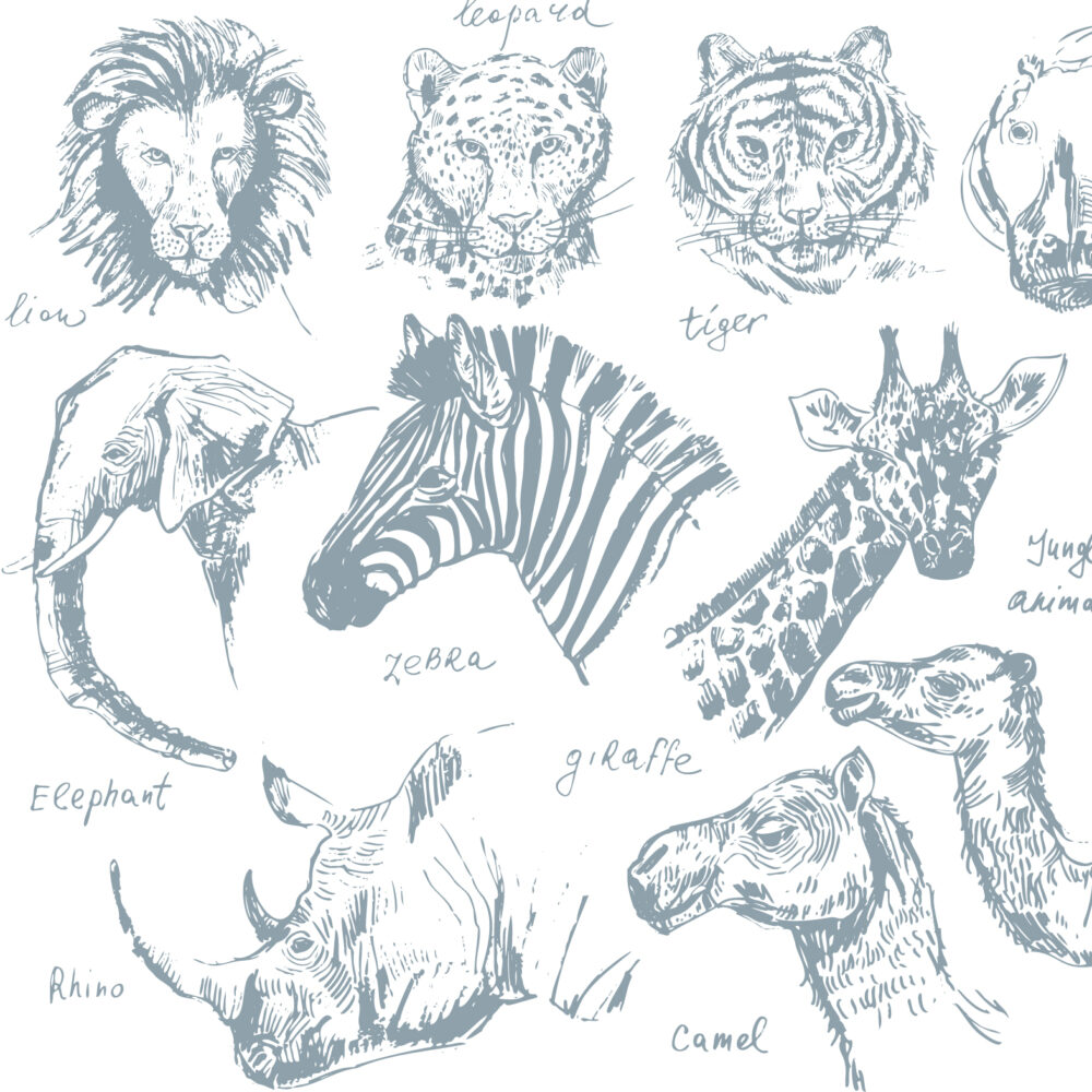 Croquis de animales tropicales