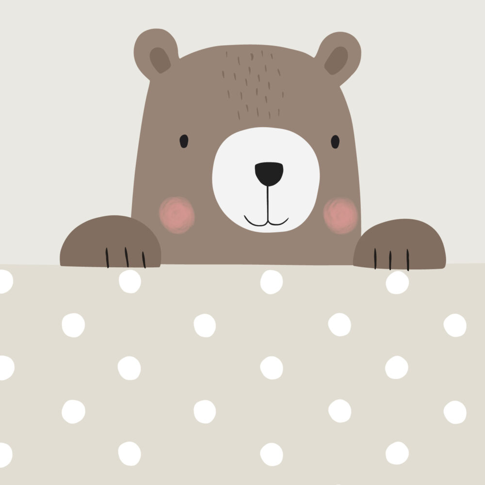 Un oso espiando