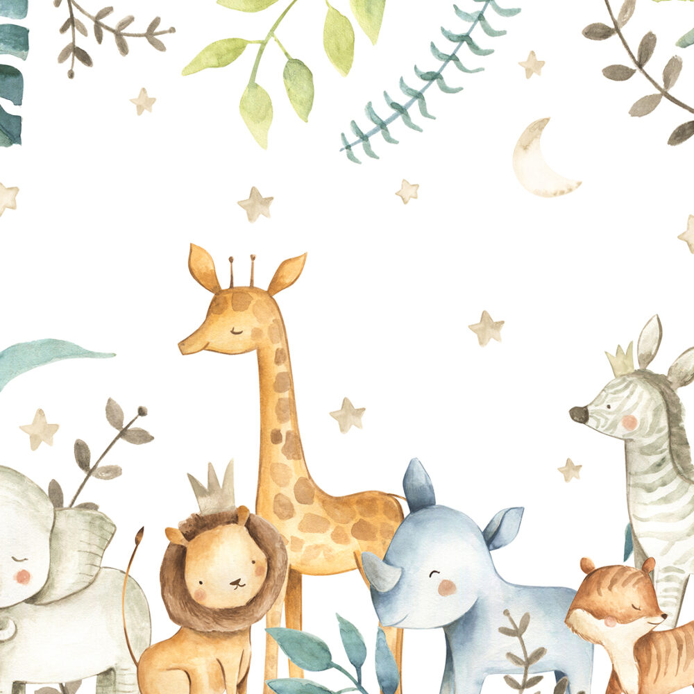 Safari para niños