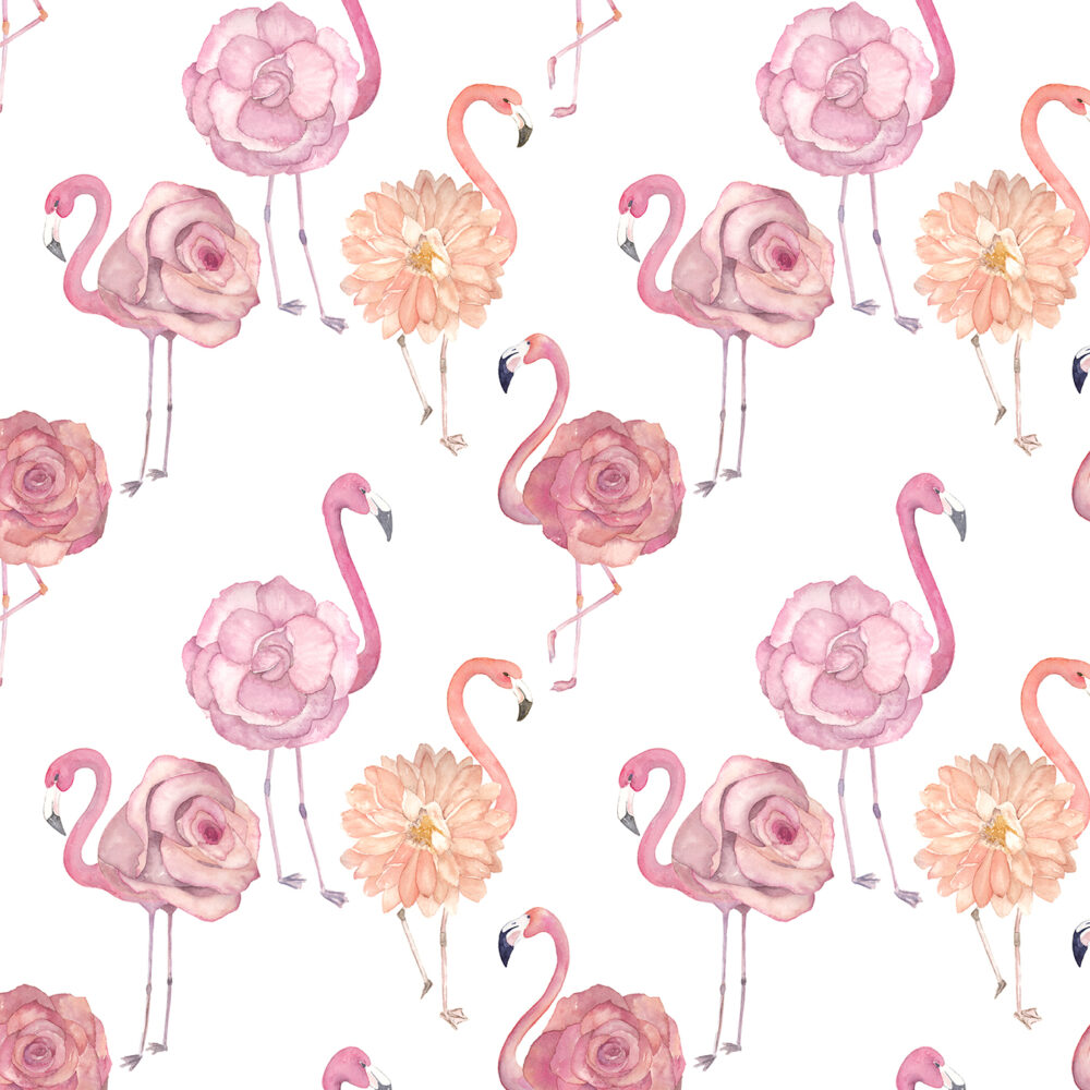 Flamencos - son flores