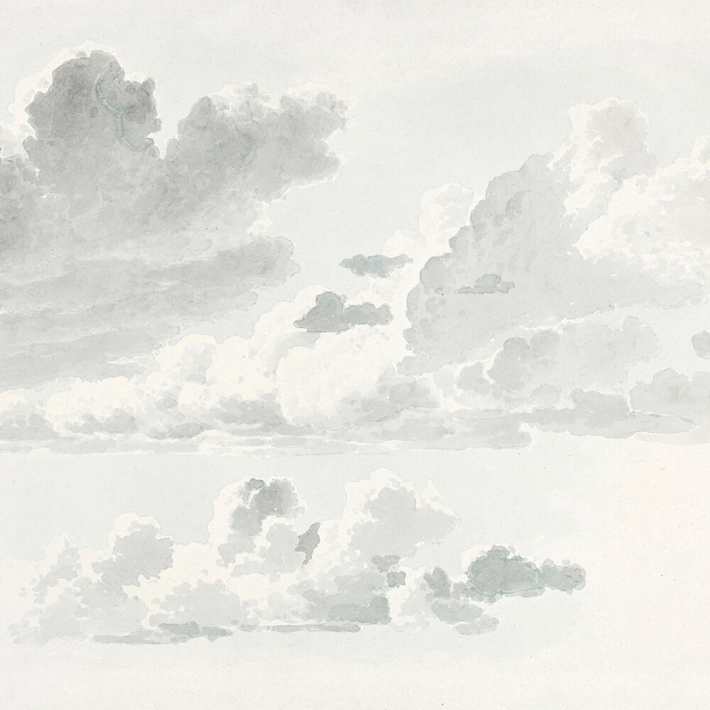 Nubes en un cielo gris