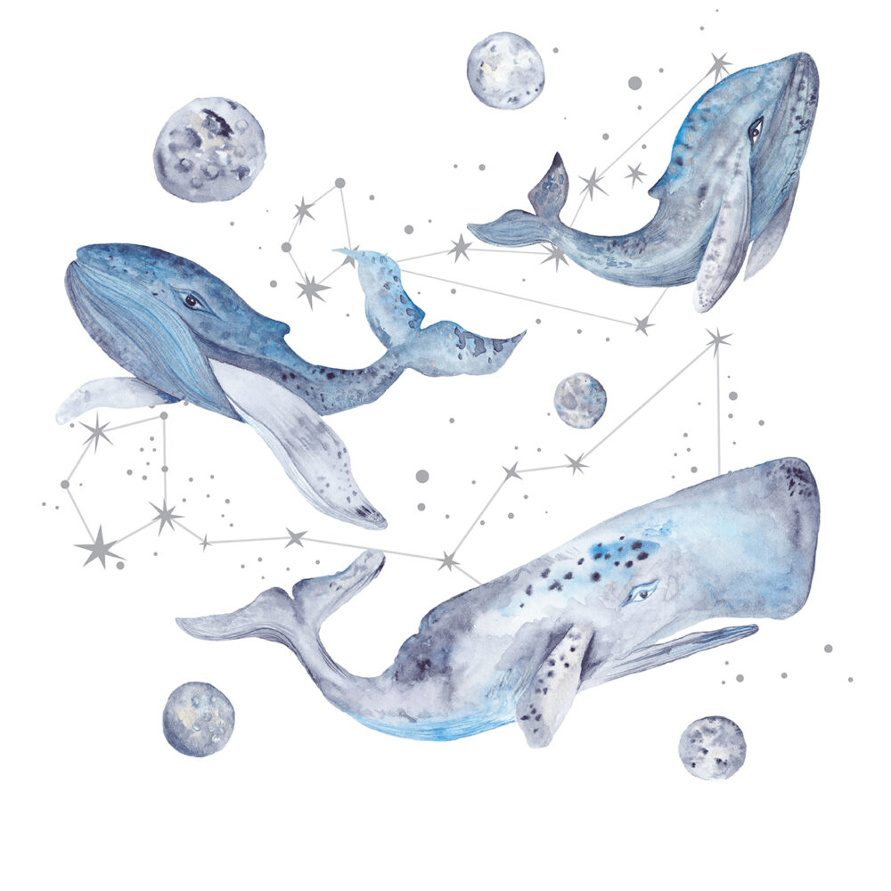 Ballenas y constelaciones