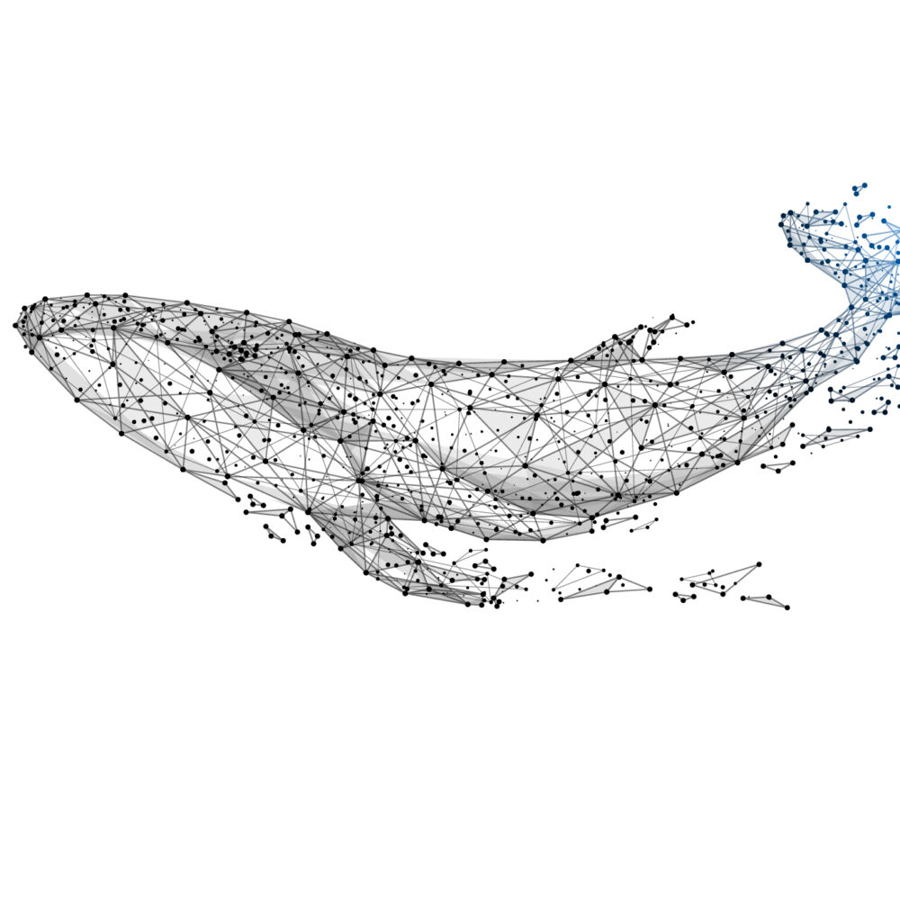 Dibujo poligonal de una ballena